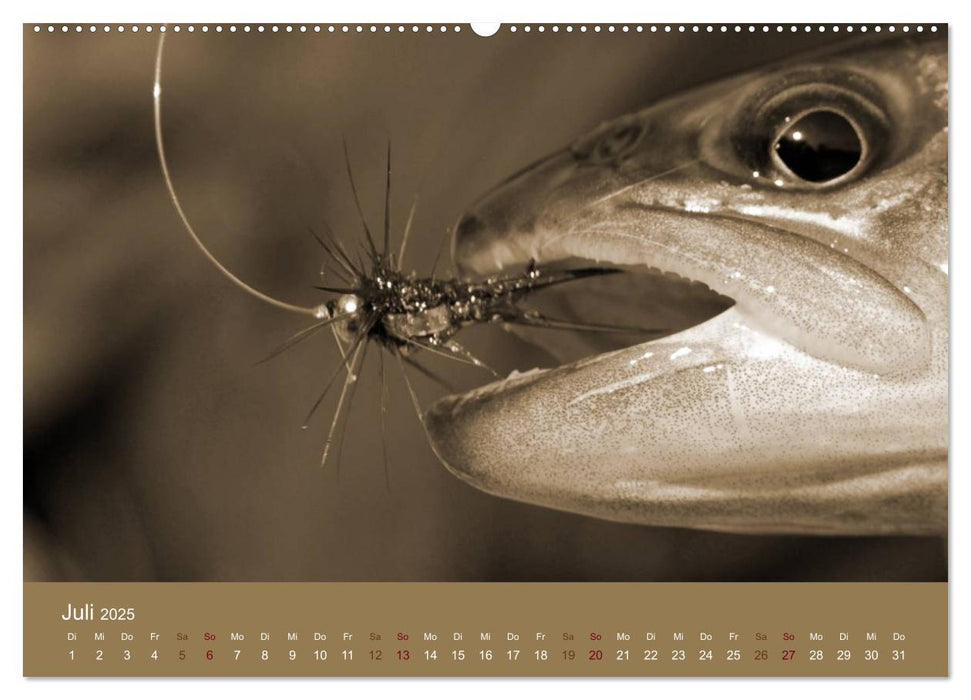 Fliegenfischen (CALVENDO Premium Wandkalender 2025)