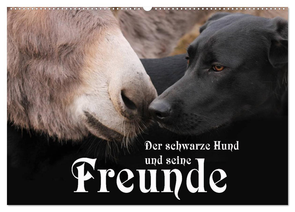 Der schwarze Hund und seine Freunde (CALVENDO Wandkalender 2025)