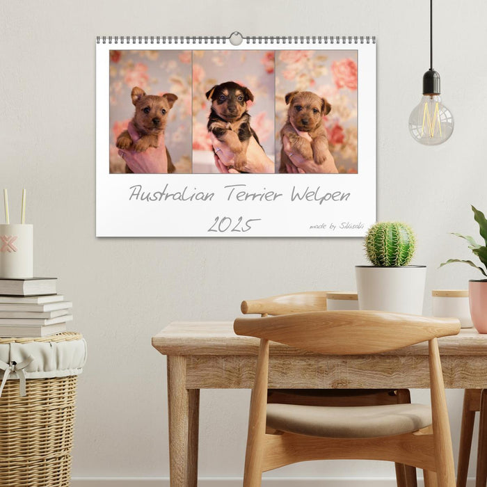 Australian Terrier Welpen (CALVENDO Wandkalender 2025)