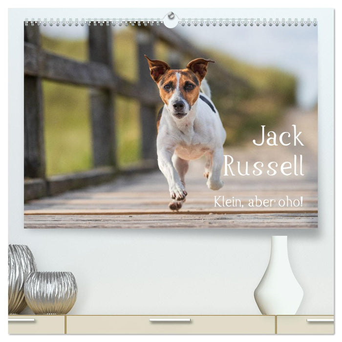 Jack Russell - Klein, aber oho! (CALVENDO Premium Wandkalender 2025)