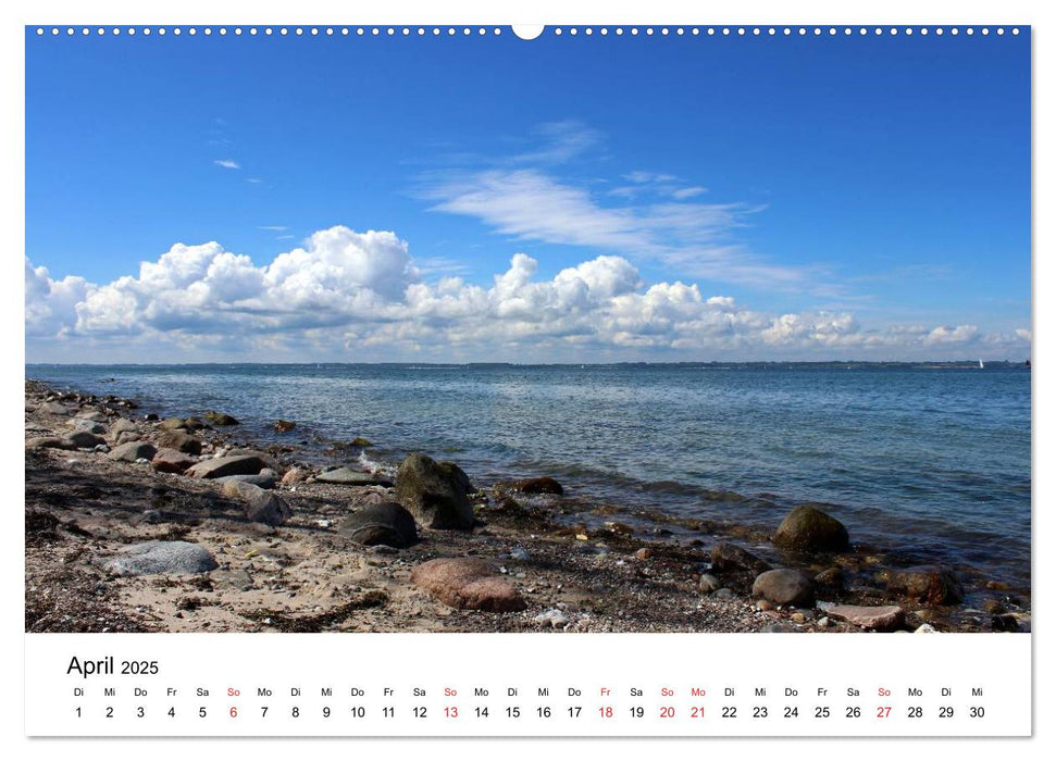 Ostseeküste 2025 (CALVENDO Premium Wandkalender 2025)