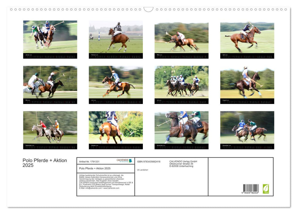 Polo Pferde + Aktion 2025 (CALVENDO Wandkalender 2025)