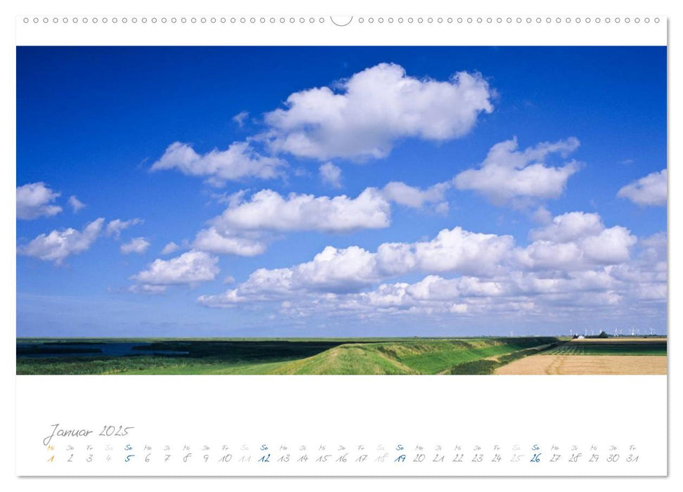 Am Meer (CALVENDO Premium Wandkalender 2025)