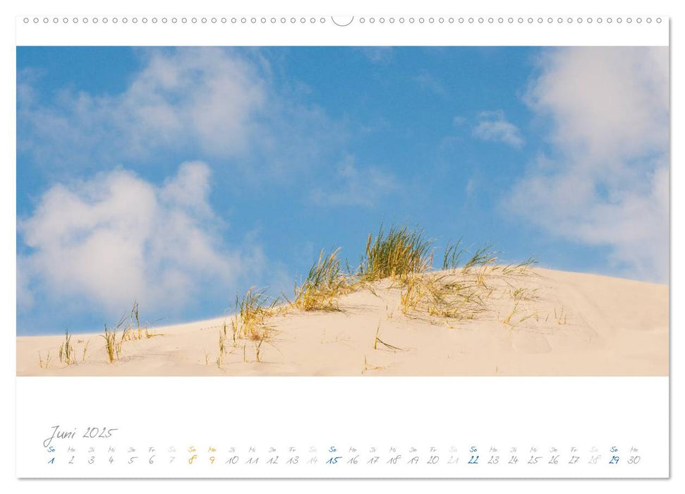 Am Meer (CALVENDO Premium Wandkalender 2025)