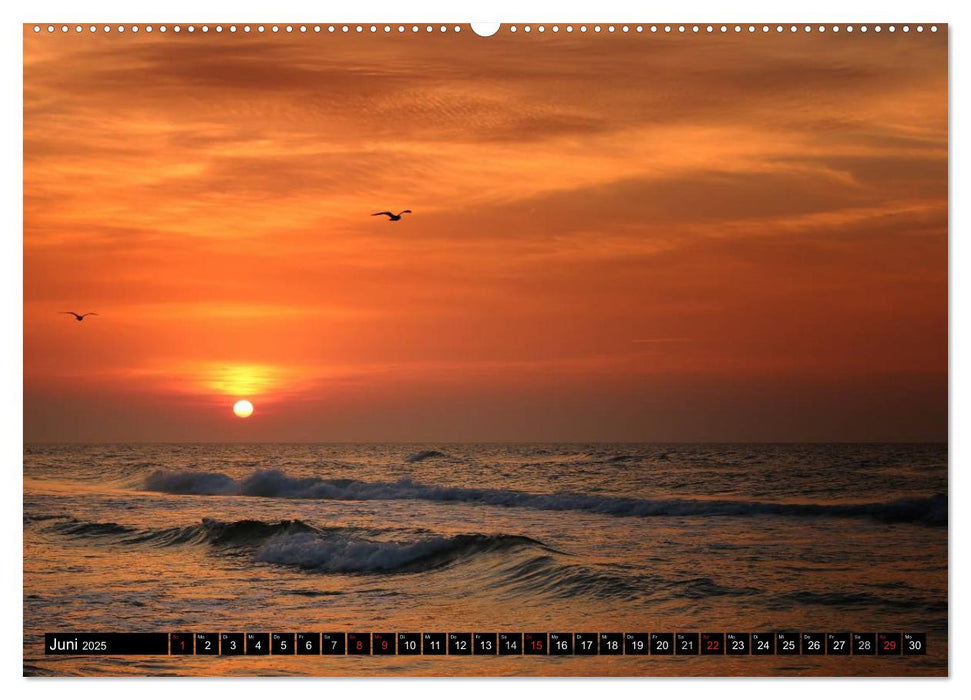 Urlaub in Warnemünde (CALVENDO Wandkalender 2025)