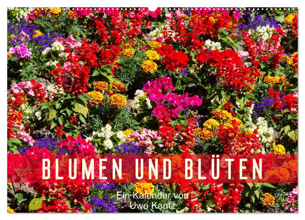 Blumen und Blüten (CALVENDO Wandkalender 2025)