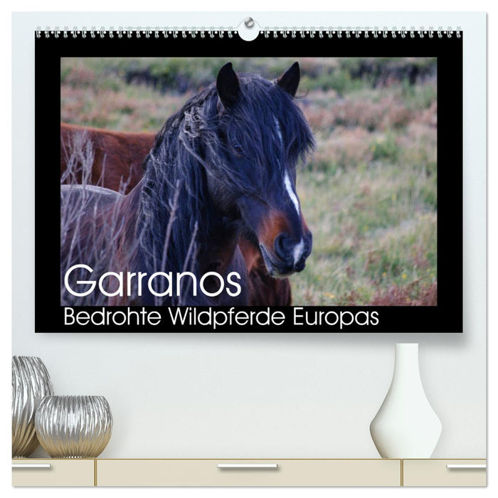 Garranos - Bedrohte Wildpferde Europas (CALVENDO Premium Wandkalender 2025)