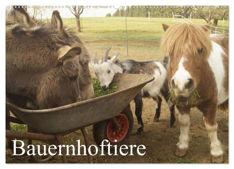 Bauernhoftiere (CALVENDO Wandkalender 2025)