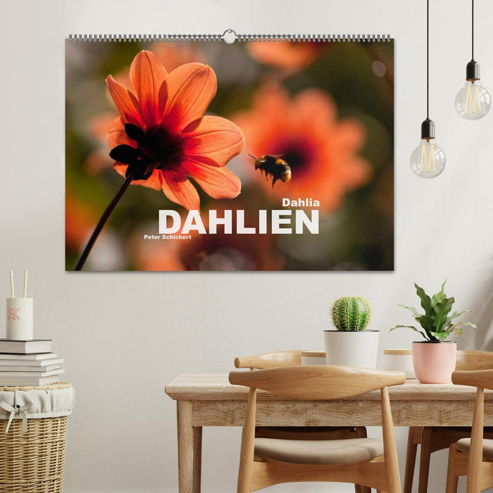 Dahlia - Dahlien (CALVENDO Wandkalender 2025)