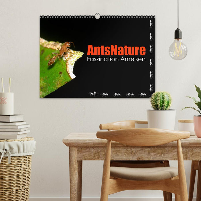 AntsNature - Faszination Ameisen (CALVENDO Wandkalender 2025)