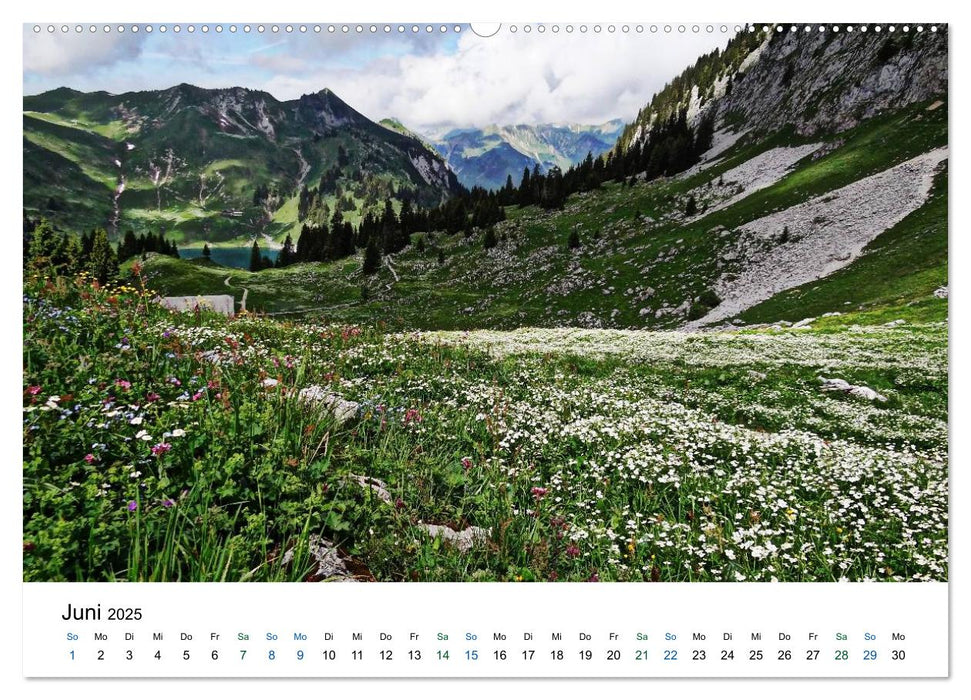 Stockhorn – Über Stock und Stein (CALVENDO Premium Wandkalender 2025)