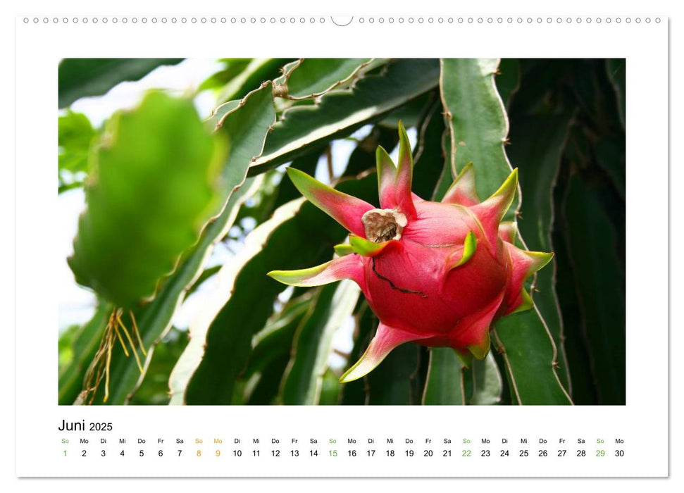 Xin Chào Vietnam (CALVENDO Premium Wandkalender 2025)