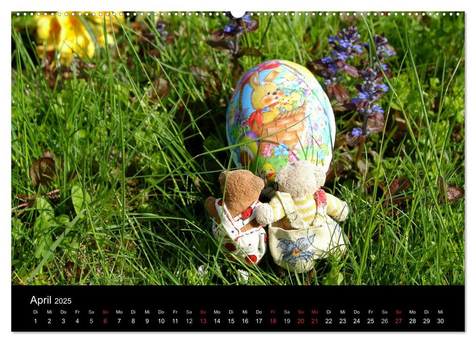 Der Bärchenkalender 2025 (CALVENDO Wandkalender 2025)