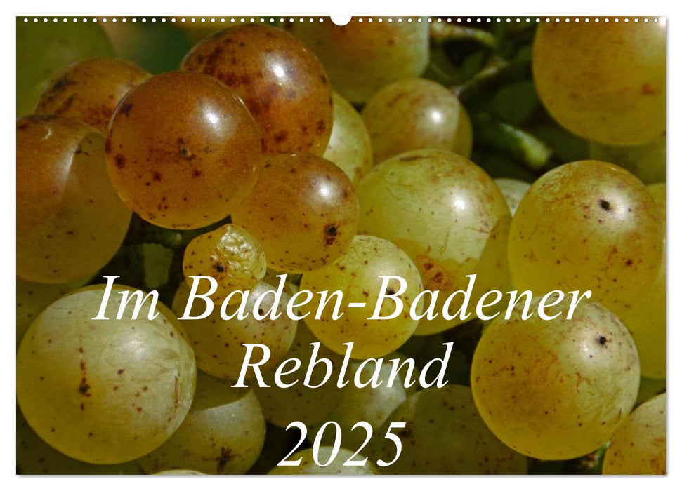 Im Baden-Badener Rebland 2025 (CALVENDO Wandkalender 2025)