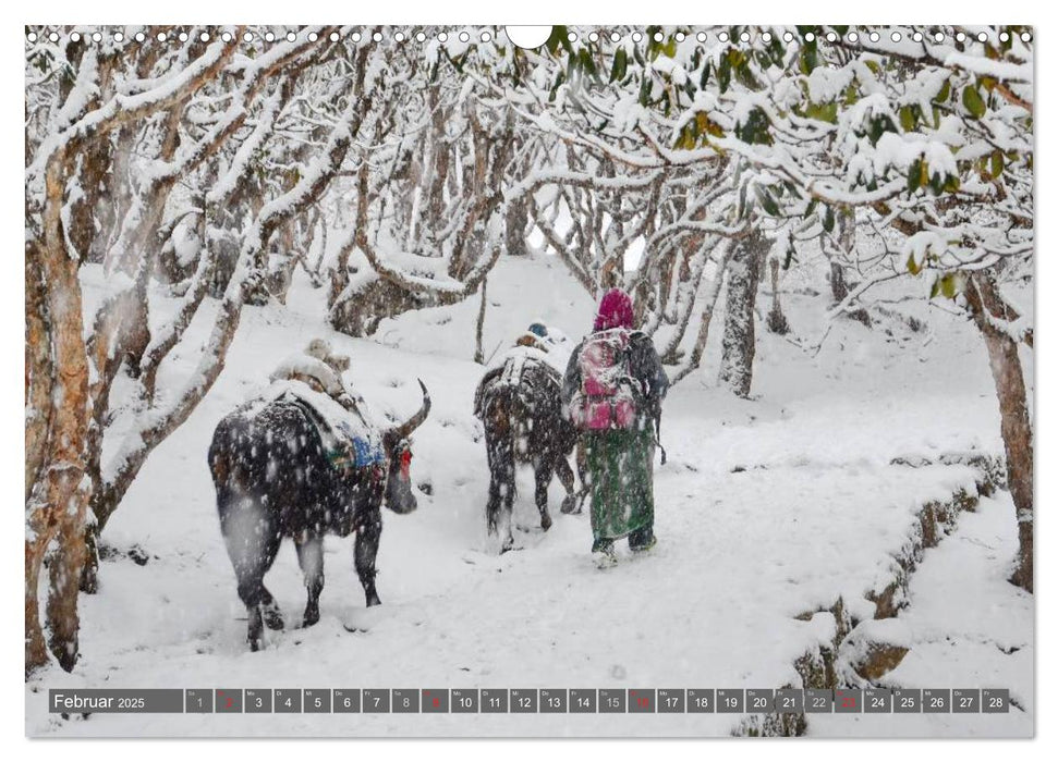 Himalaya (CALVENDO Wandkalender 2025)