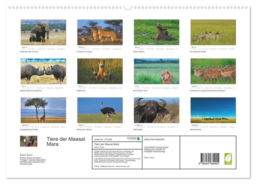 Tiere der Maasai Mara (CALVENDO Premium Wandkalender 2025)