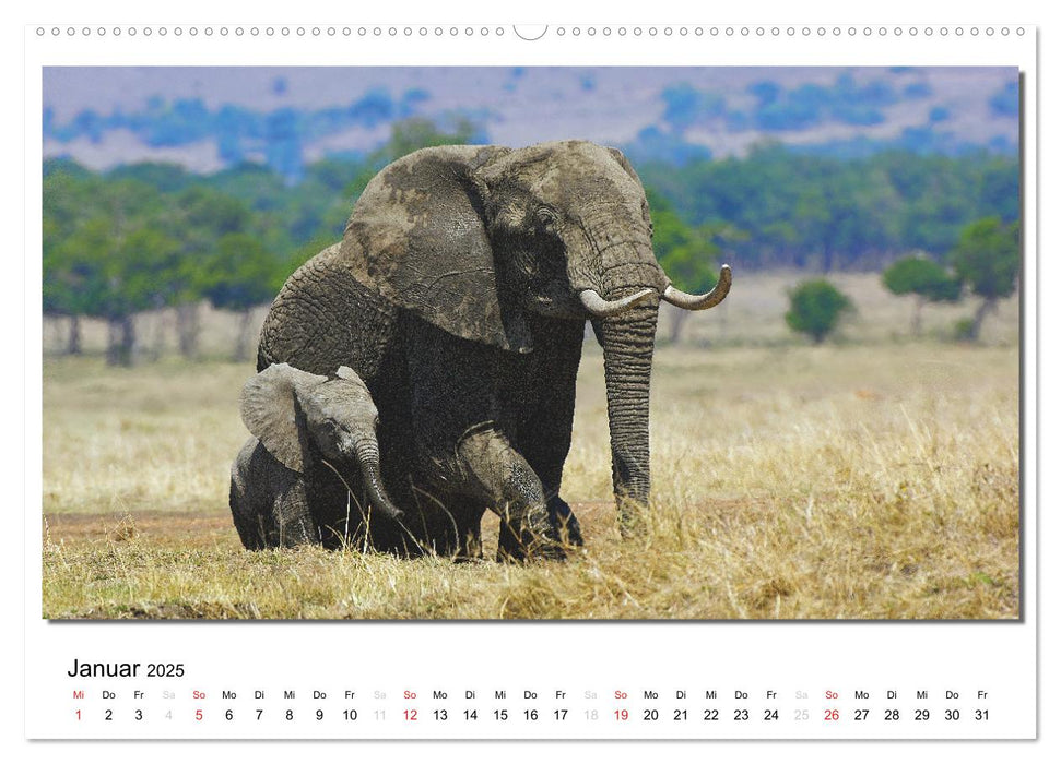 Tiere der Maasai Mara (CALVENDO Premium Wandkalender 2025)