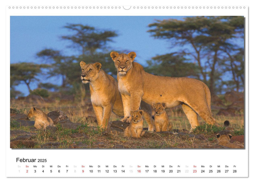 Tiere der Maasai Mara (CALVENDO Premium Wandkalender 2025)