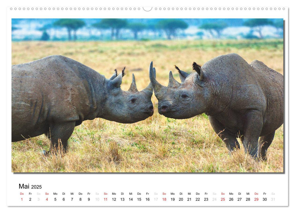 Tiere der Maasai Mara (CALVENDO Premium Wandkalender 2025)