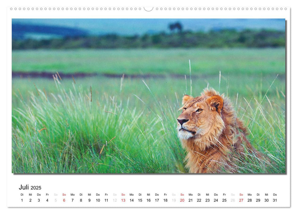 Tiere der Maasai Mara (CALVENDO Premium Wandkalender 2025)