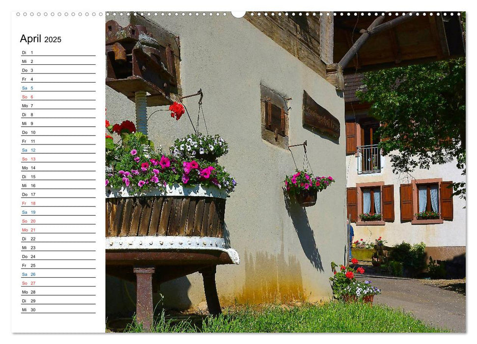 Landleben (CALVENDO Premium Wandkalender 2025)