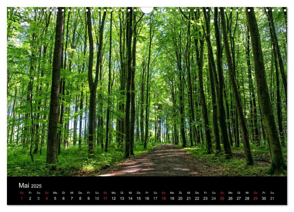 Meerbusch. Meerer Busch (CALVENDO Wandkalender 2025)