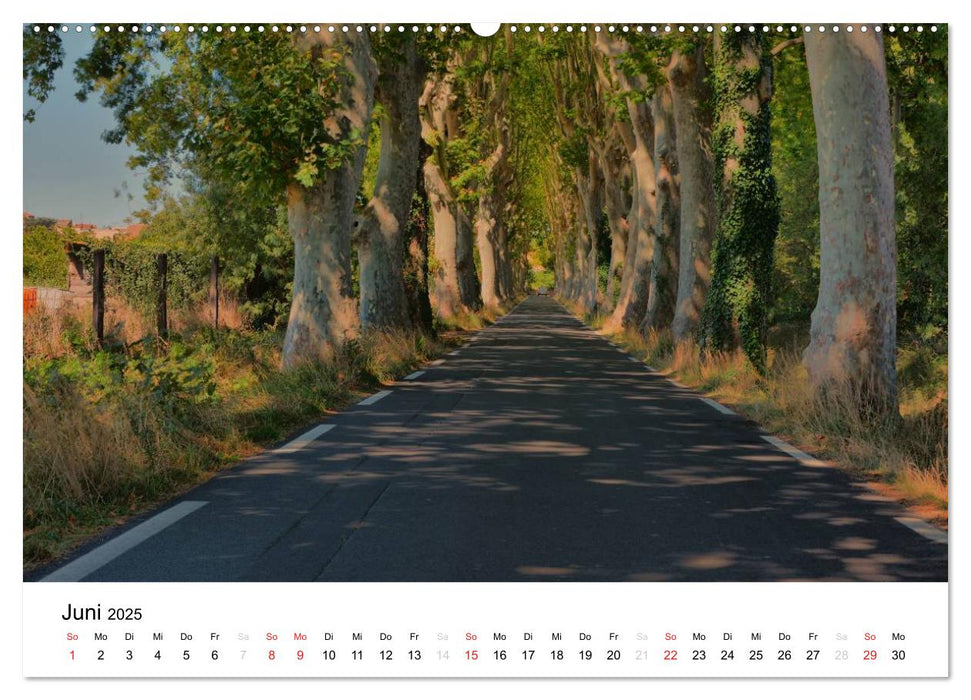 Languedoc-Roussillon - unter der Sonne des Midi (CALVENDO Premium Wandkalender 2025)