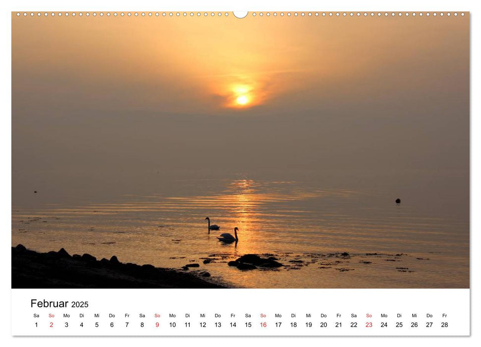 Ostseeküste 2025 (CALVENDO Wandkalender 2025)