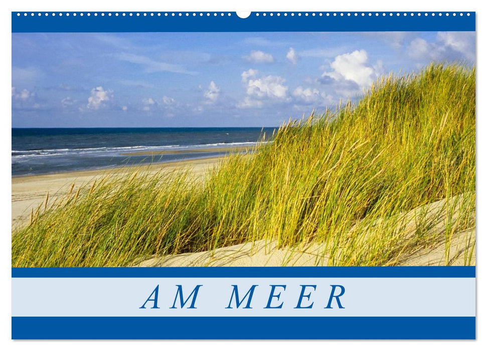 Am Meer (CALVENDO Wandkalender 2025)