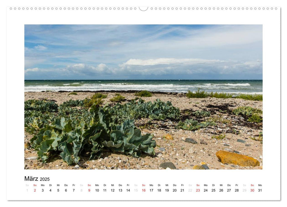 FEHMARN - Magische Momente (CALVENDO Premium Wandkalender 2025)