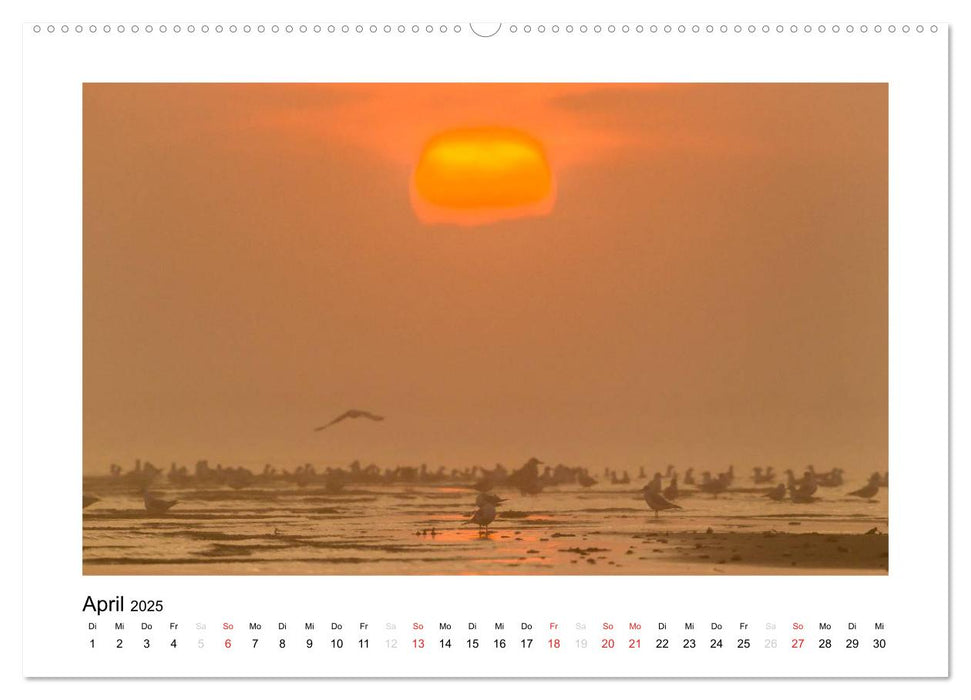 FEHMARN - Magische Momente (CALVENDO Premium Wandkalender 2025)