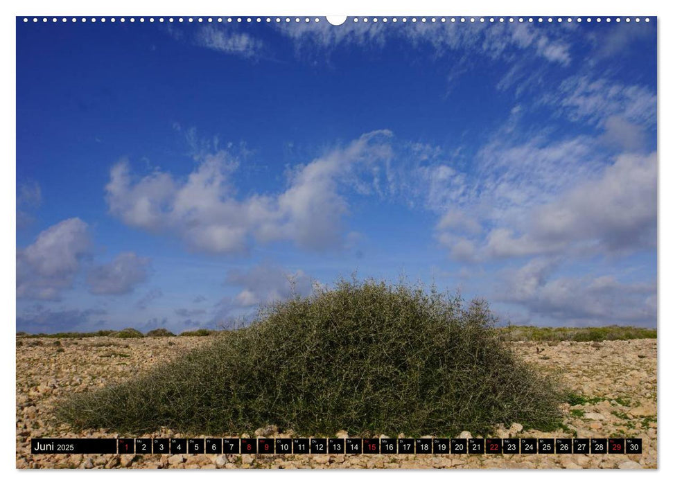 Formentera - Mittelmeerinsel voller Magie (CALVENDO Premium Wandkalender 2025)