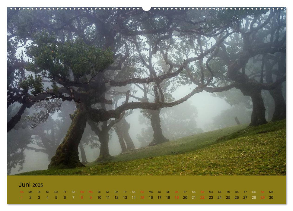 Zauberhaftes Madeira (CALVENDO Premium Wandkalender 2025)