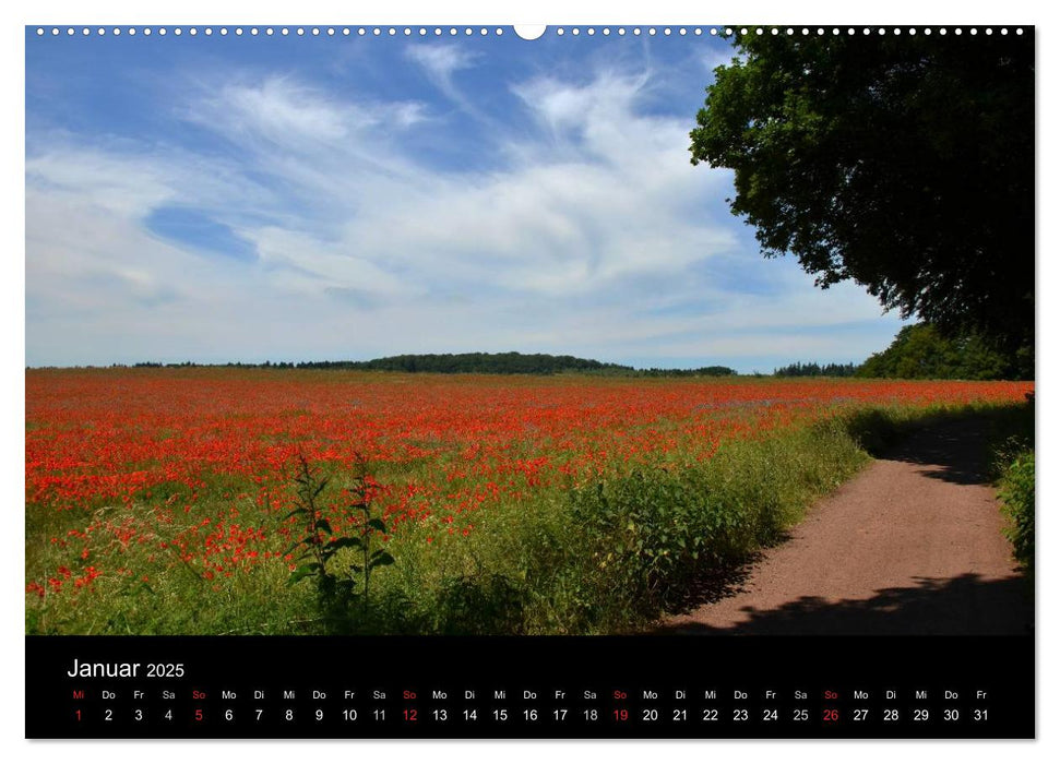 Mohnblumenfelder (CALVENDO Premium Wandkalender 2025)