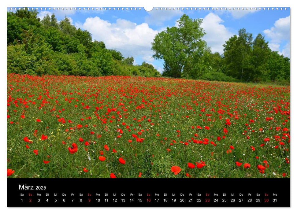 Mohnblumenfelder (CALVENDO Premium Wandkalender 2025)