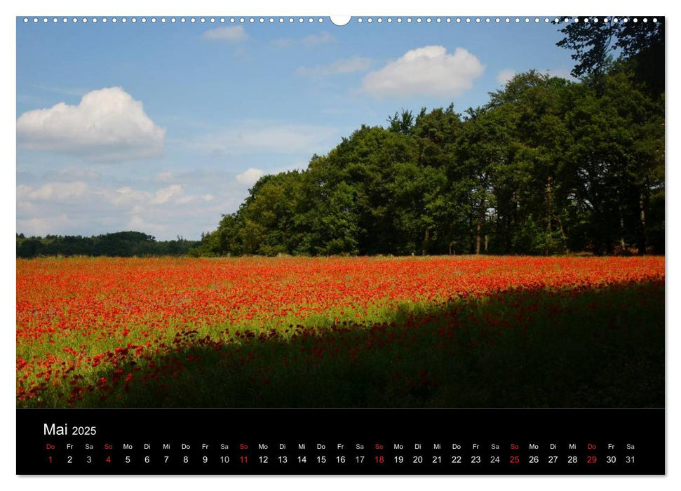 Mohnblumenfelder (CALVENDO Premium Wandkalender 2025)