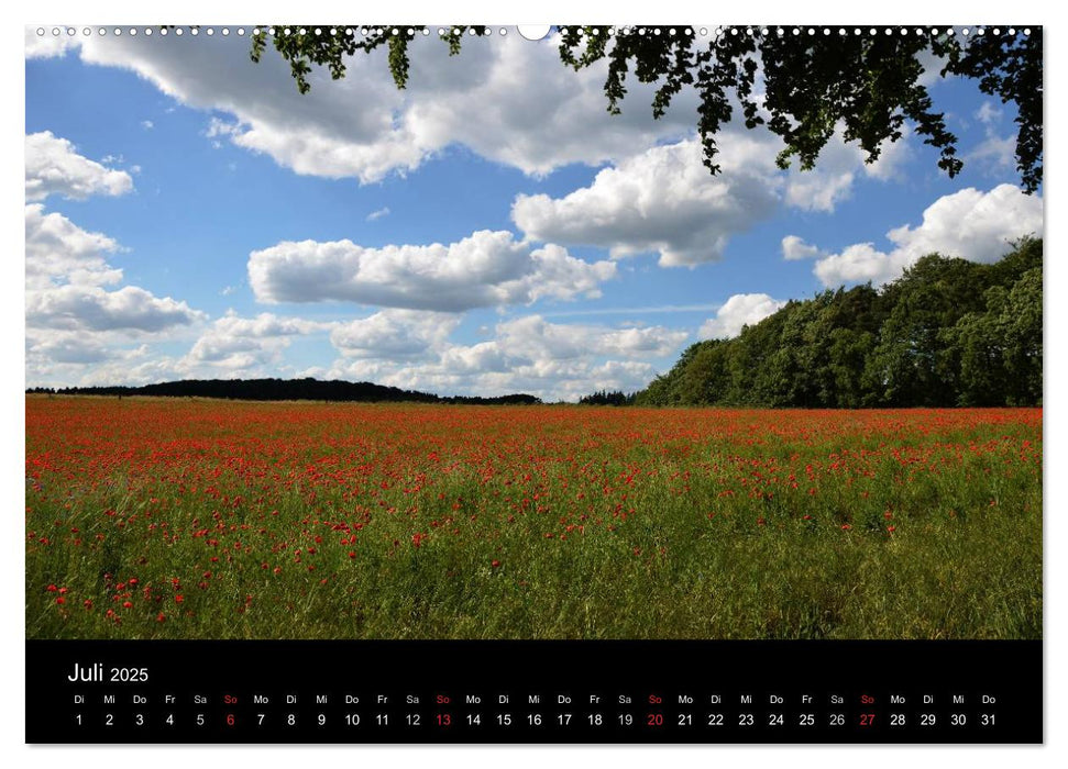 Mohnblumenfelder (CALVENDO Premium Wandkalender 2025)