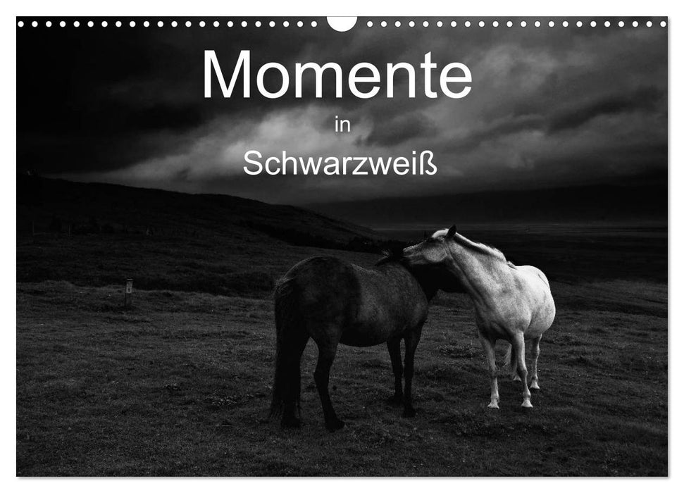 Momente in Schwarzweiß (CALVENDO Wandkalender 2025)