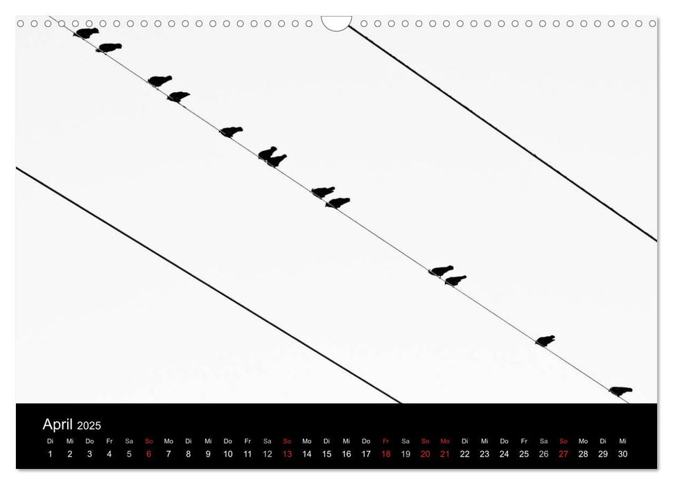 Momente in Schwarzweiß (CALVENDO Wandkalender 2025)