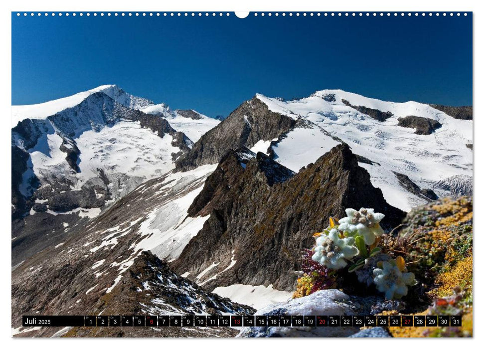 Meine Giganten in den Alpen Österreichs (CALVENDO Premium Wandkalender 2025)