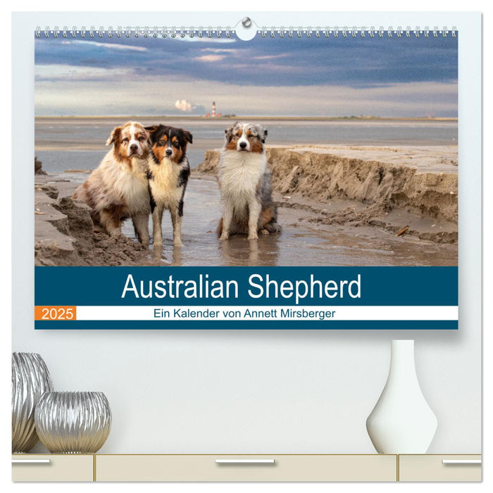 Australian Shepherd 2025 (CALVENDO Premium Wandkalender 2025)