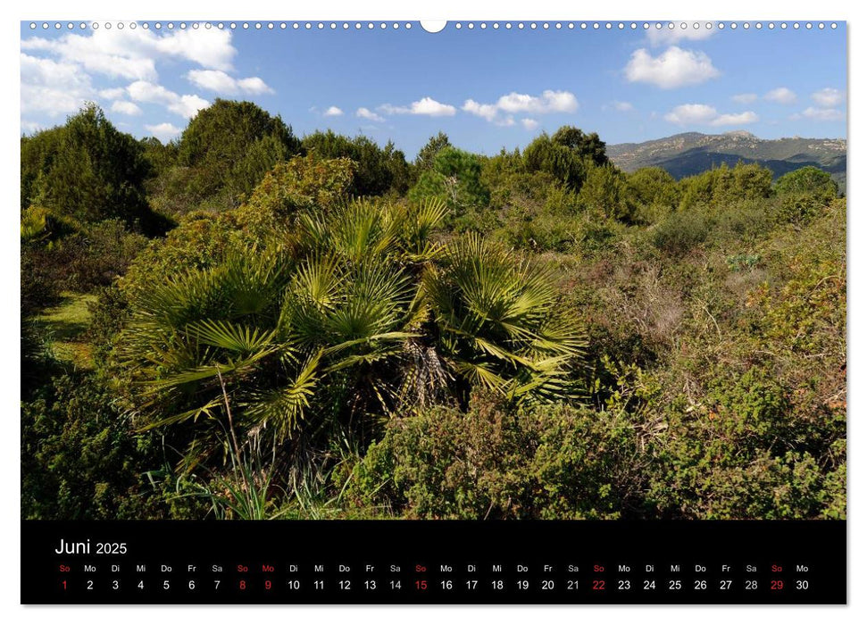 Landschaften auf Sardinien (CALVENDO Premium Wandkalender 2025)