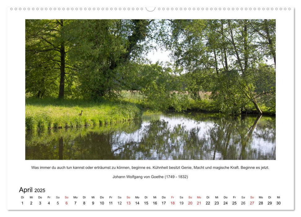 Der Naturkalender mit Zitaten und Sprüchen (CALVENDO Premium Wandkalender 2025)