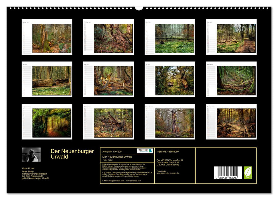 Der Neuenburger Urwald (CALVENDO Premium Wandkalender 2025)