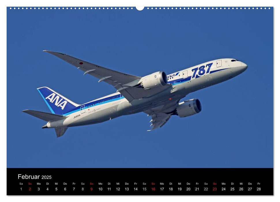 Faszination Flugzeug (CALVENDO Premium Wandkalender 2025)