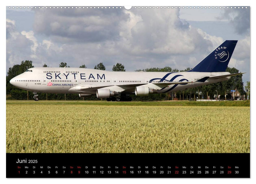 Faszination Flugzeug (CALVENDO Premium Wandkalender 2025)