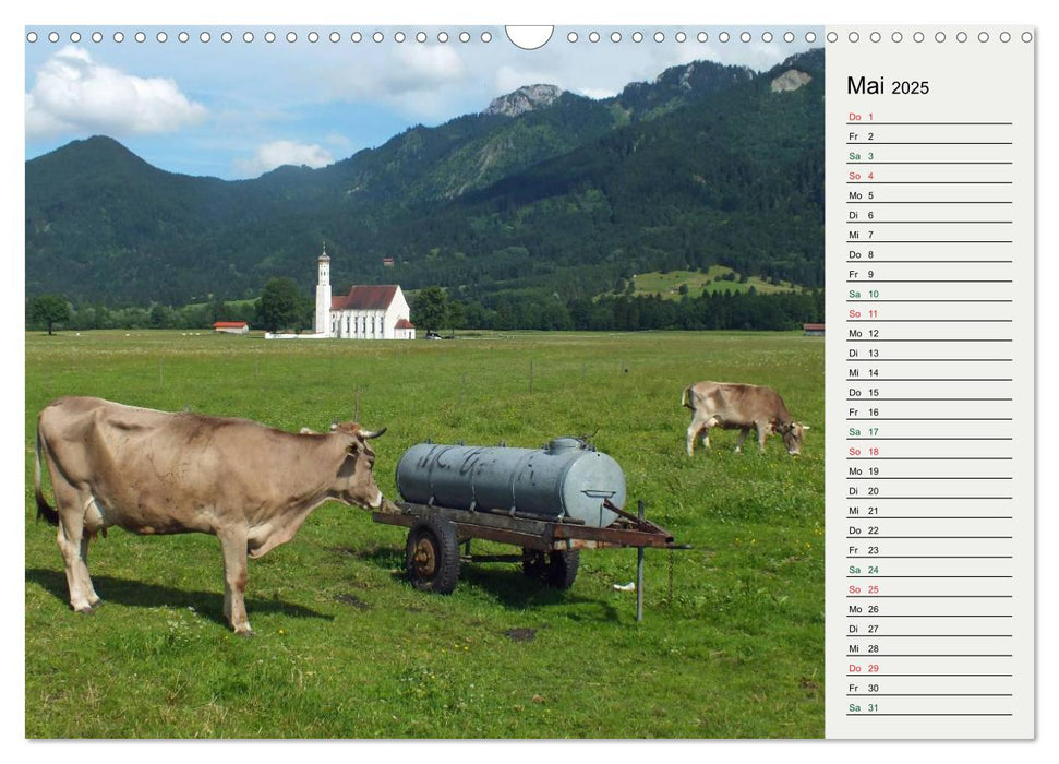 Schwangauer Momente (CALVENDO Wandkalender 2025)