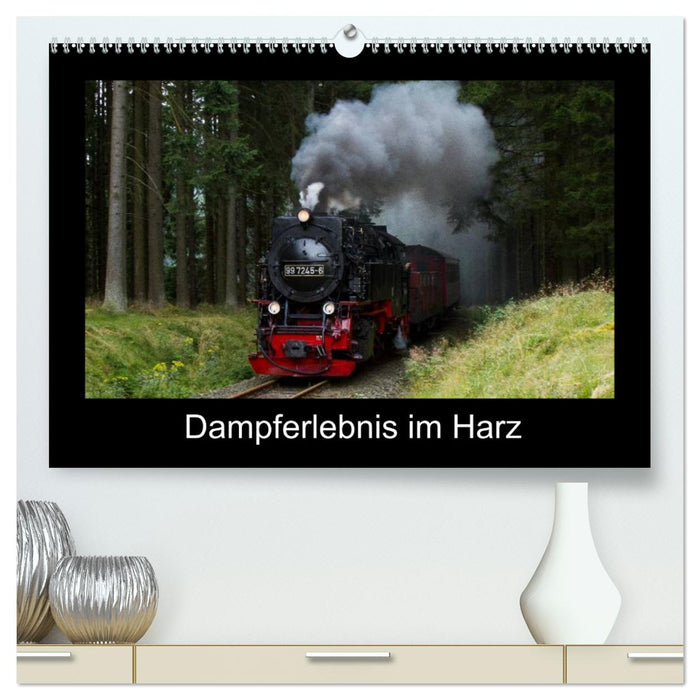 Dampferlebnis im Harz (CALVENDO Premium Wandkalender 2025)