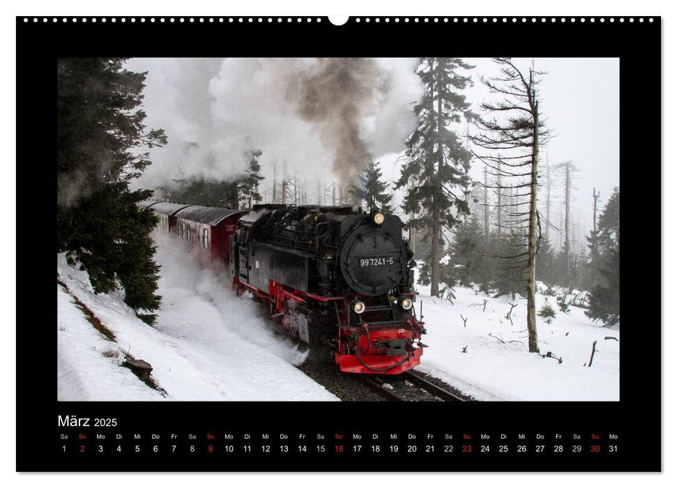 Dampferlebnis im Harz (CALVENDO Premium Wandkalender 2025)