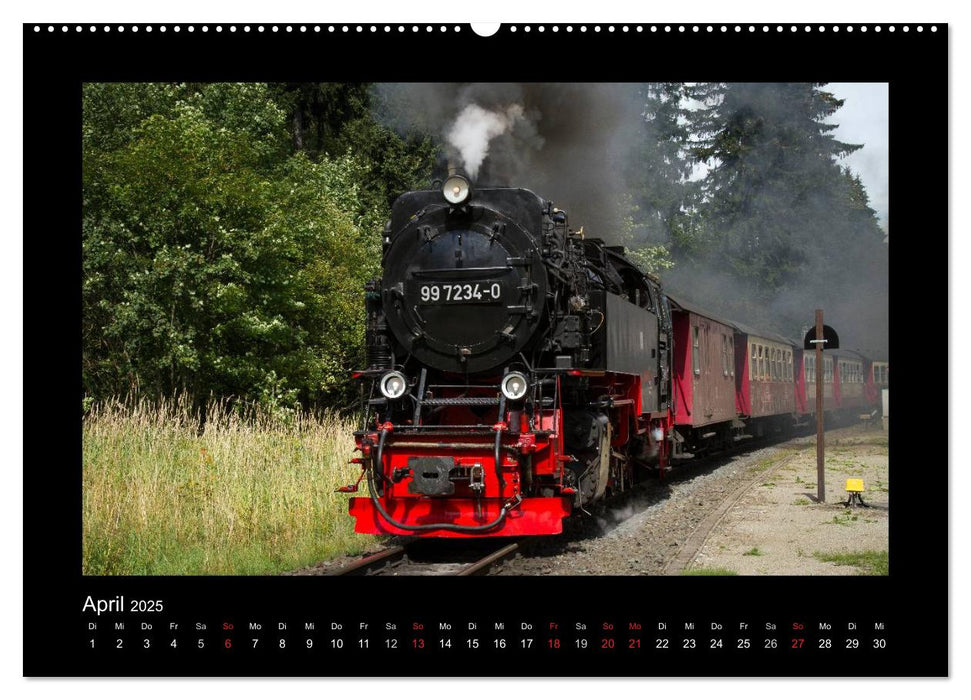 Dampferlebnis im Harz (CALVENDO Premium Wandkalender 2025)